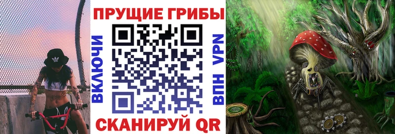 цены Олёкминск Галлюциногенные грибы прущие грибы