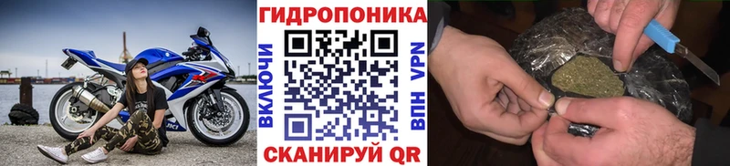 Марихуана план  как найти закладки  Олёкминск 